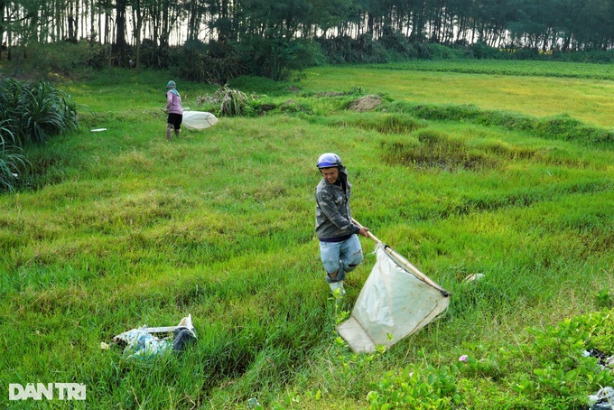 Hai vợ chồng 2 vợt, vượt 150km săn giặc cỏ kiếm tiền triệu - 1