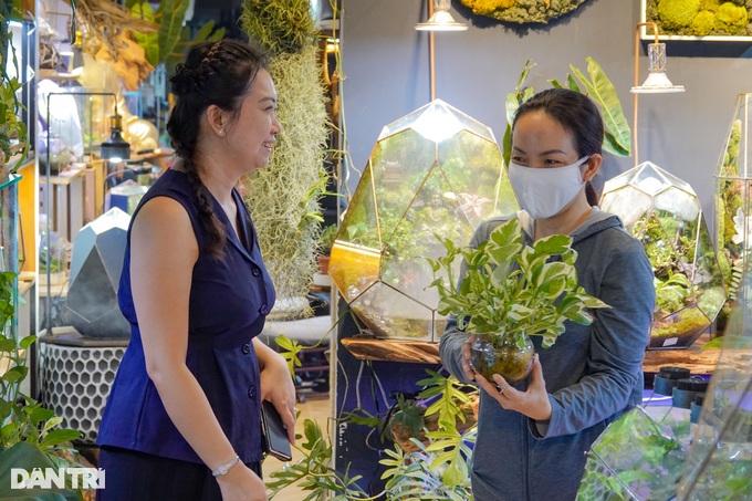 The girl who collects money on a greenhouse plant - 5