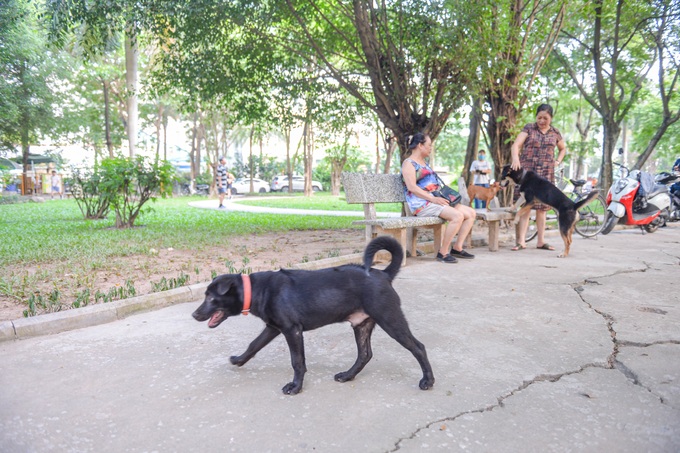 Hà Nội: Công viên được đầu tư 280 tỷ đồng thành nơi chọi gà, thả chó - 10