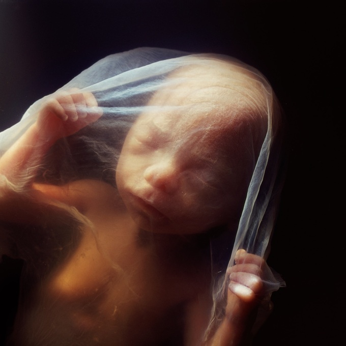 Phổi của thai nhi phát triển như thế nào để trẻ có thể tự thở sau khi sinh?
