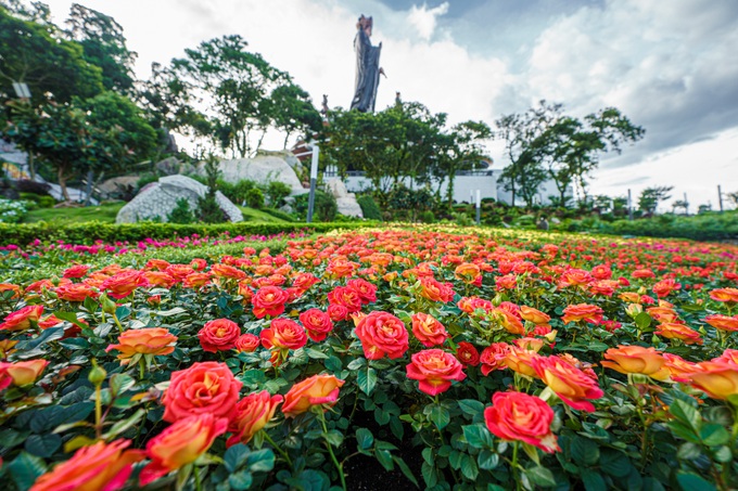 Chờ đón Lễ vía Bà Linh Sơn Thánh Mẫu tại Tây Ninh - 1