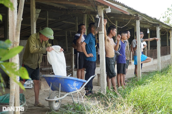 Hồ cá của chàng trai không tay gặp sự cố, cộng đồng mạng kêu gọi giải cứu - 4