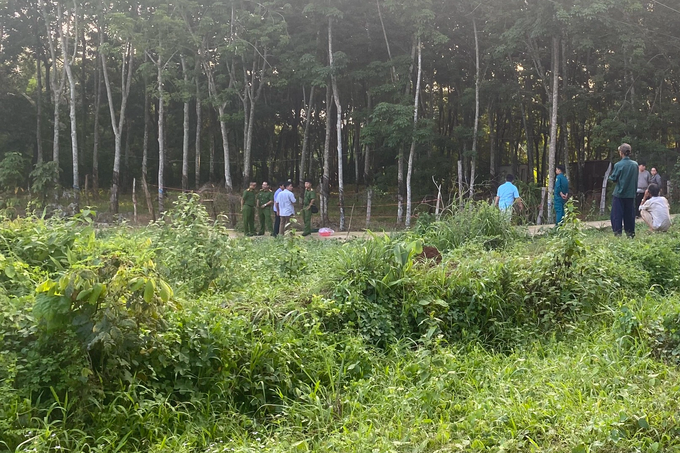 Phát hiện thi thể bé sơ sinh mất một chân bên cạnh lô cao su - 1