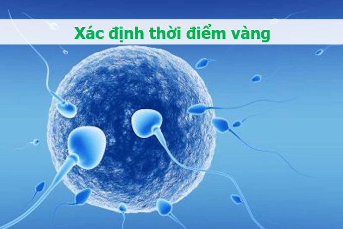 Làm 5 việc này sẽ giúp tăng cơ hội mang thai - 1 Làm 5 việc này sẽ giúp tăng cơ hội mang thai - 1
