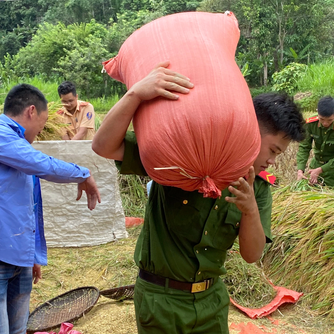 Công an xuống đồng giúp dân bản gặt lúa - 2