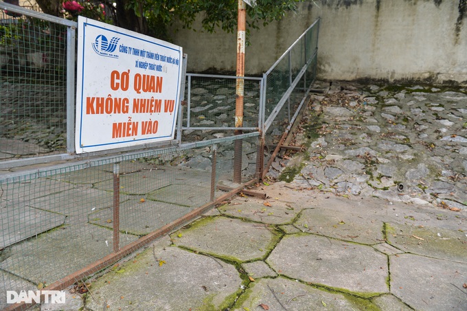 Hà Nội: Lý do đàn thiên nga 12 con ở hồ Thiền Quang chỉ còn lại 5 con - 4