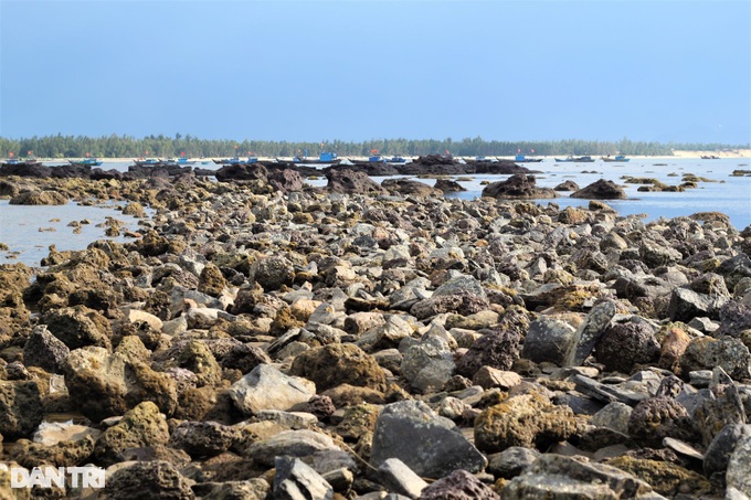 Fishermen collect money on coral reefs - 1