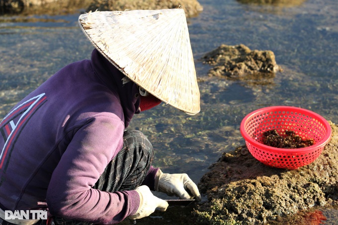 Crouching back, stooping to shave money on the rocks - 4