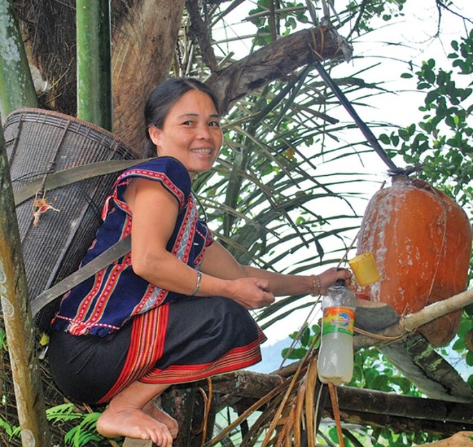 Strange job in Vietnam: Cut a tree to get water right away with a spicy, non-drinking wine - 11
