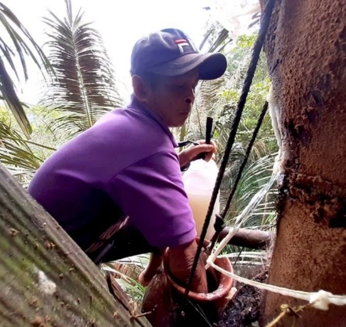 Strange job in Vietnam: Cut a tree to get water right away, a spicy wine that doesn't get drunk - 6