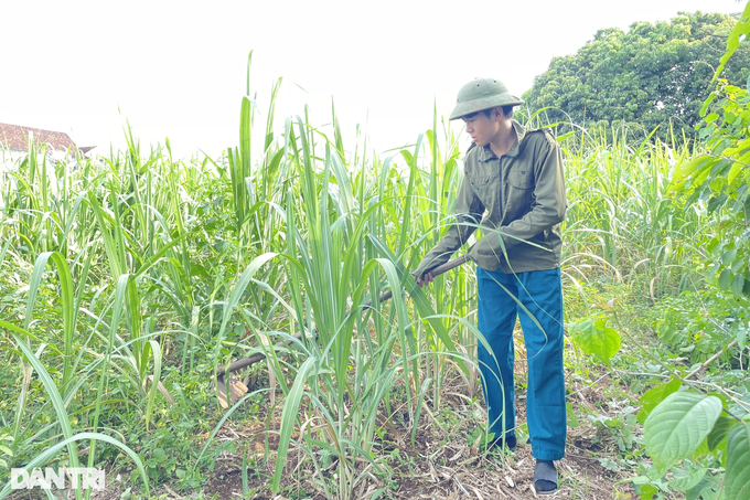 Đã được tuyển thẳng, nam sinh người thiểu số vẫn thi đạt điểm cao nhất tỉnh - 3