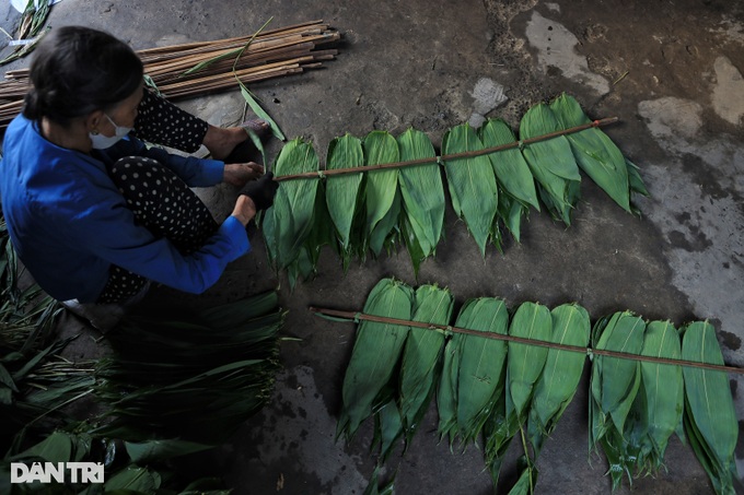 Earn billions from exporting... bamboo leaves - 4