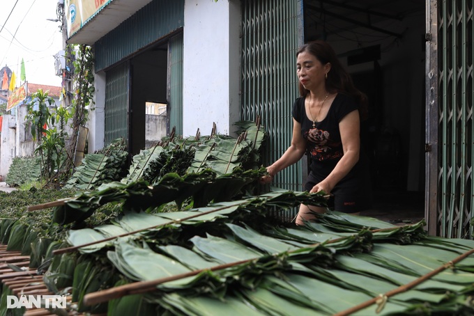 Make billions from exporting... bamboo leaves - 1