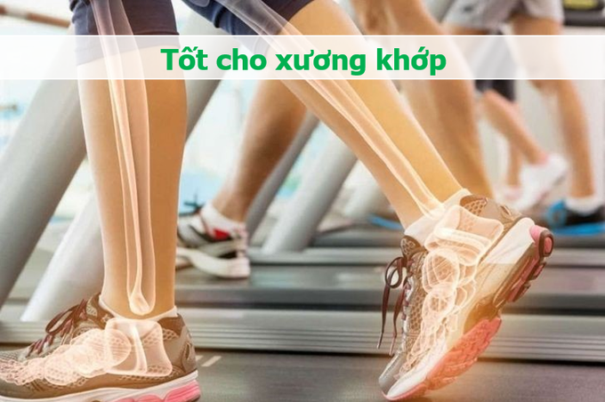 Phần hay bỏ đi khi ăn thịt gà lại đặc biệt tốt cho xương khớp, tim mạch - 1