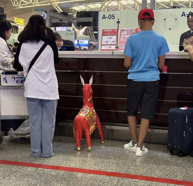 Vì sao ngựa vàng mã của khách tây không được lên máy bay? - 1