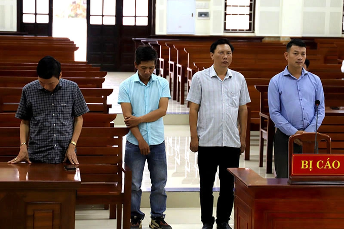 Cựu giám đốc ban quản lý dự án lĩnh án tù vì sai phạm liên quan 2 gói thầu - 1