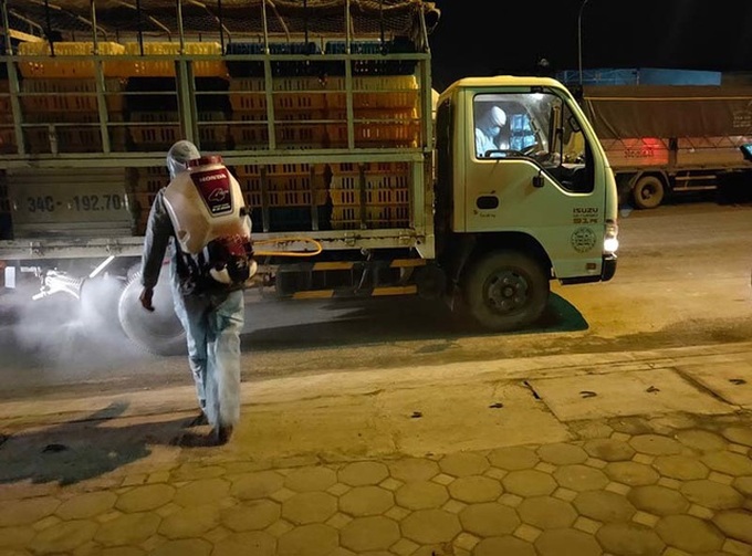 700 nghìn con gà cần bán ngay, dân Hải Dương lo âu từng ngày - 4