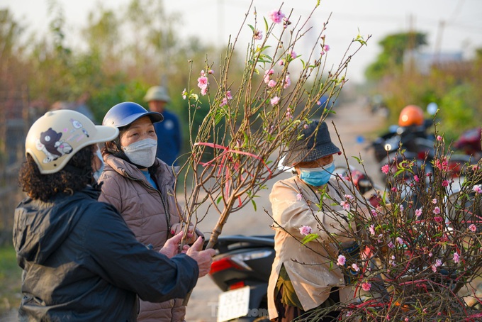 Đào nở sớm, bắt đầu xuống phố đón Tết Dương lịch ảnh 7