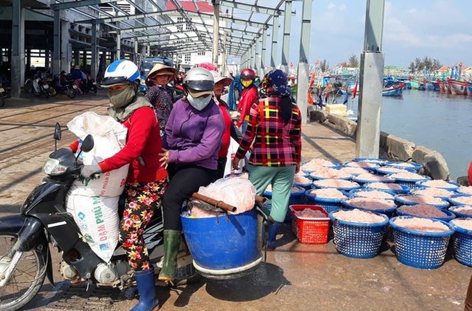 Ngư dân Bình Định trúng lớn “lộc biển”, kiếm tiền triệu chỉ vài giờ - 9