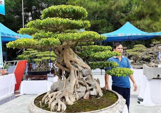 Sanh cổ Huyền phượng vũ giá triệu đô: Chưa đến mức đó - 1