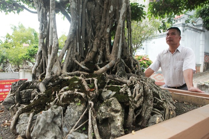 Sanh cổ “Ngũ long tranh châu” mua từ năm 1996 với giá 100 cây vàng - 9