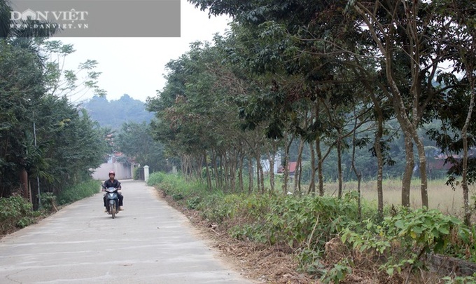 Vùng đất nông dân toàn chôn kho báu ngoài vườn, hễ ra ngõ là gặp tỷ phú - 1