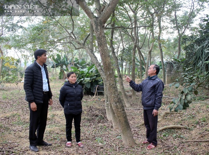 Vùng đất nông dân toàn chôn kho báu ngoài vườn, hễ ra ngõ là gặp tỷ phú - 3