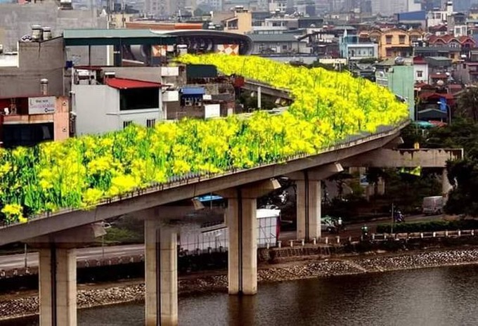 Bất ngờ hình ảnh chế đường sắt trên cao Cát Linh - Hà Đông thành con đường hoa cải - 1