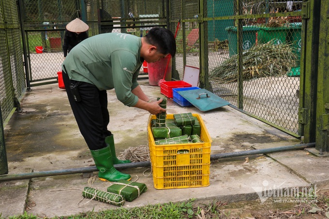 Tet atmosphere at Vietnam Bear Sanctuary - 1