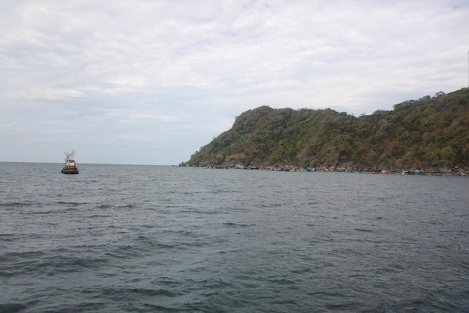 Ca Mau to set up protected forest area on Hon Khoai-Hon Chuoi islands - 1