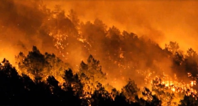 Forest fires ravage Nghe An and Ha Tinh - 3