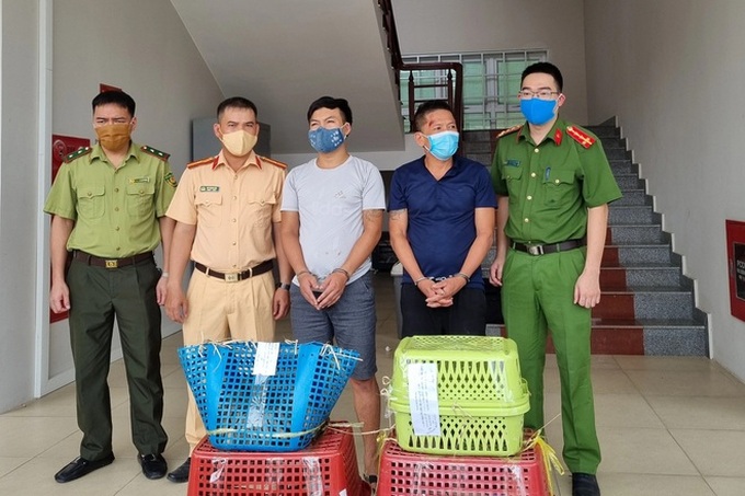 Two men detained trafficking tigers - 1