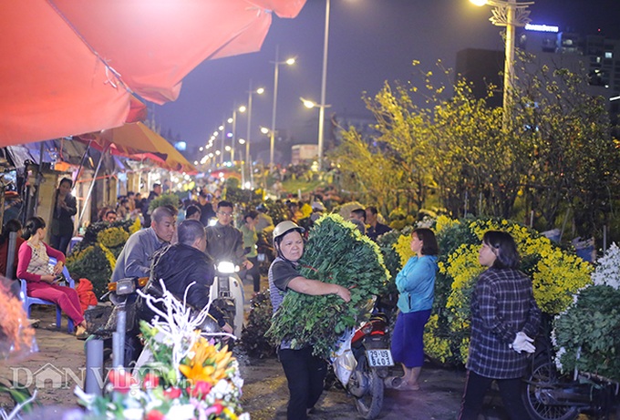 Hanoi flower market busy before Women's Day - 1 Hanoi flower market busy before Women's Day - 1