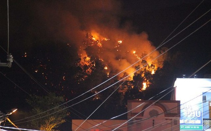 Forest fires continue ravaging Binh Dinh and Thua Thien-Hue - 1