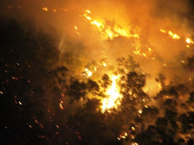 Fire engulfs Binh Dinh forest - 1