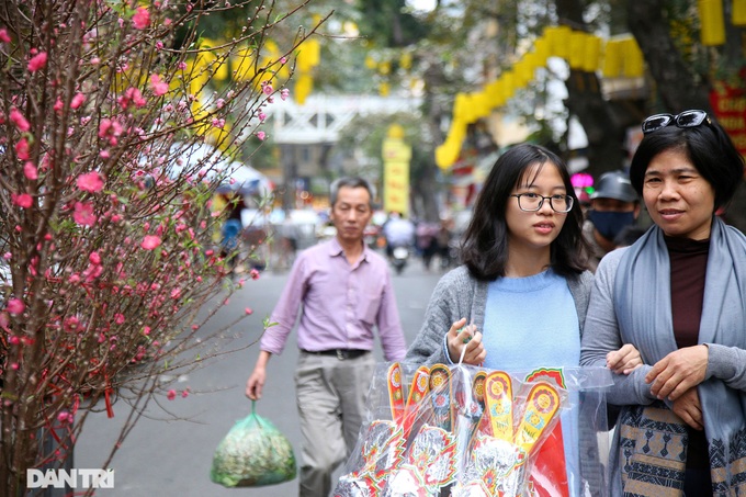 Hanoi flower market ahead of Tet - 1