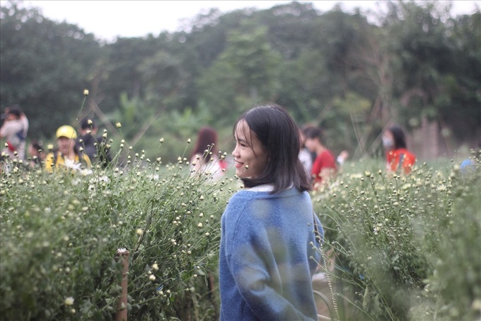 Hanoians flock to daisy garden for photos - 6