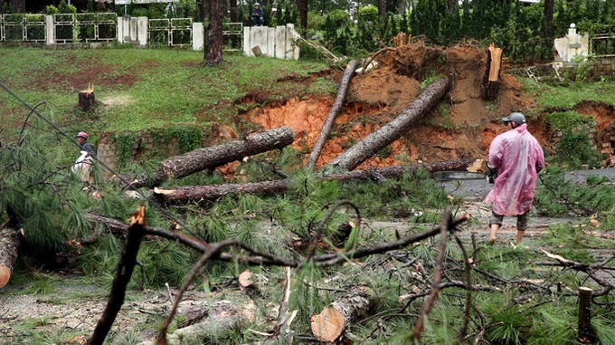 Heavy rain causes severe landslides in Dalat, tourists evacuated - 6 Heavy rain causes severe landslides in Dalat, tourists evacuated - 6