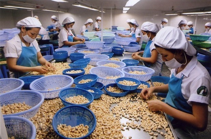 Growing agricultural export to match international standards - 1 Growing agricultural export to match international standards - 1