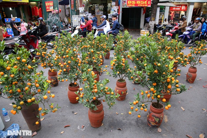 Hanoi flower market ahead of Tet - 5