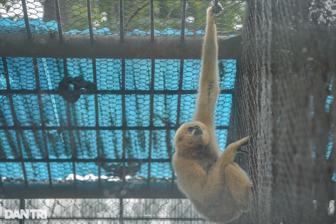 Hanoi zoo lights fires to keep animals warm - 9