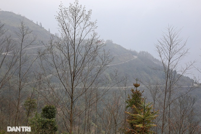 Ha Giang highlighted by spring flowers - 8 Ha Giang highlighted by spring flowers - 8
