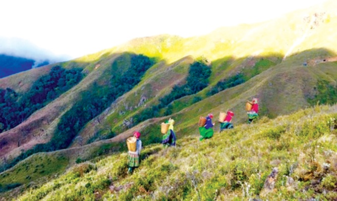 Tourist dies while climbing Yen Bai mountain - 1 Tourist dies while climbing Yen Bai mountain - 1