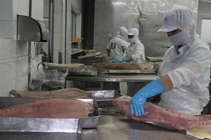 Tuna exports to EU grow thanks to trade deal - 1
