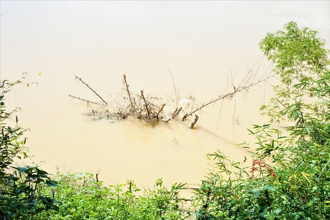 Erosion threatens people living by Thu Bon River - 1