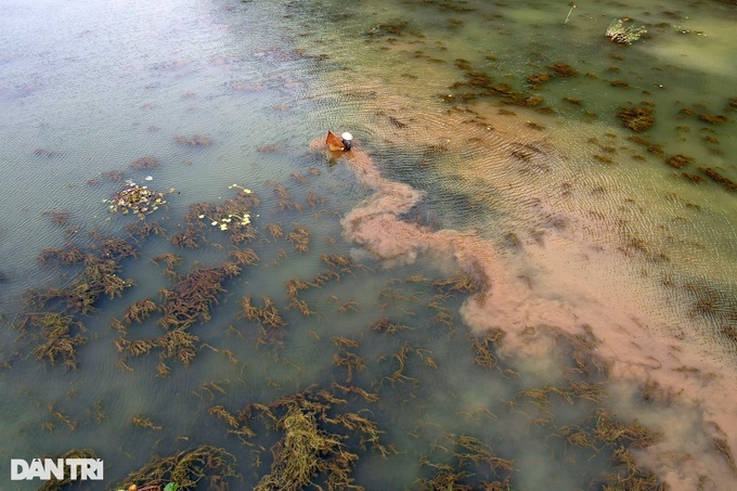 Primitive beauty of Van Long Wetland - 11 Primitive beauty of Van Long Wetland - 11