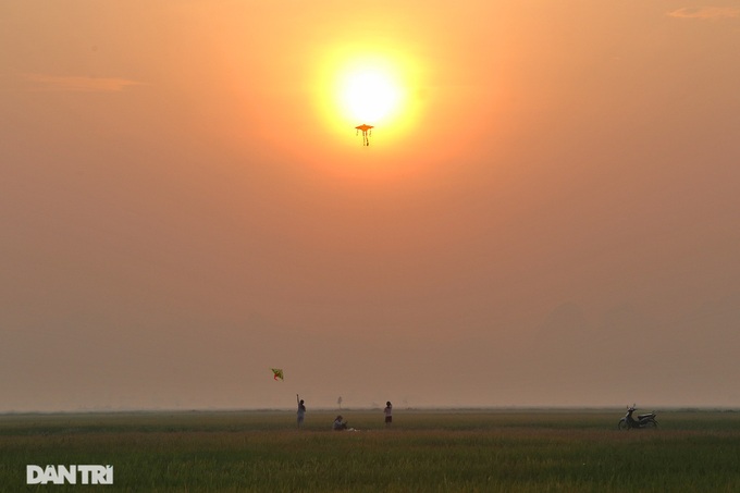 Hanoi's suburbs during ripening rice season - 14 Hanoi's suburbs during ripening rice season - 14