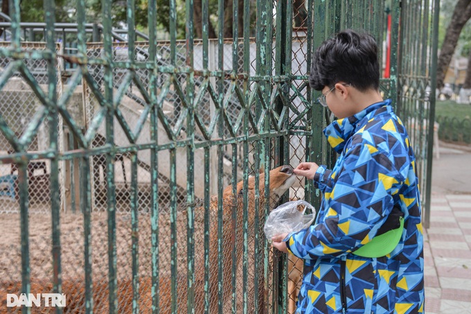 Hanoi zoo lights fires to keep animals warm - 2