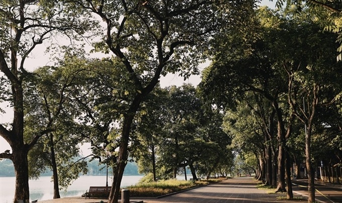 Photo contest launched to capture green Hanoi - 1
