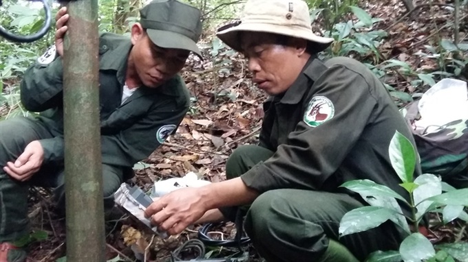 Rich primate species in Vietnam threatened: WWF report - 2